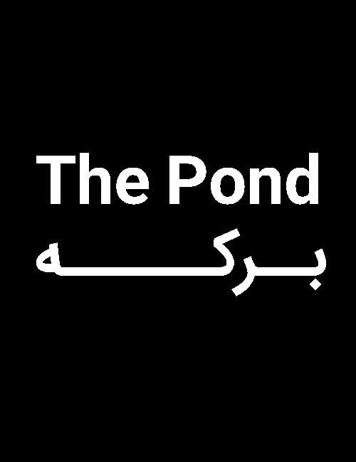 دانلود فیلم The Pond 2021